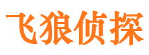 封丘市侦探公司